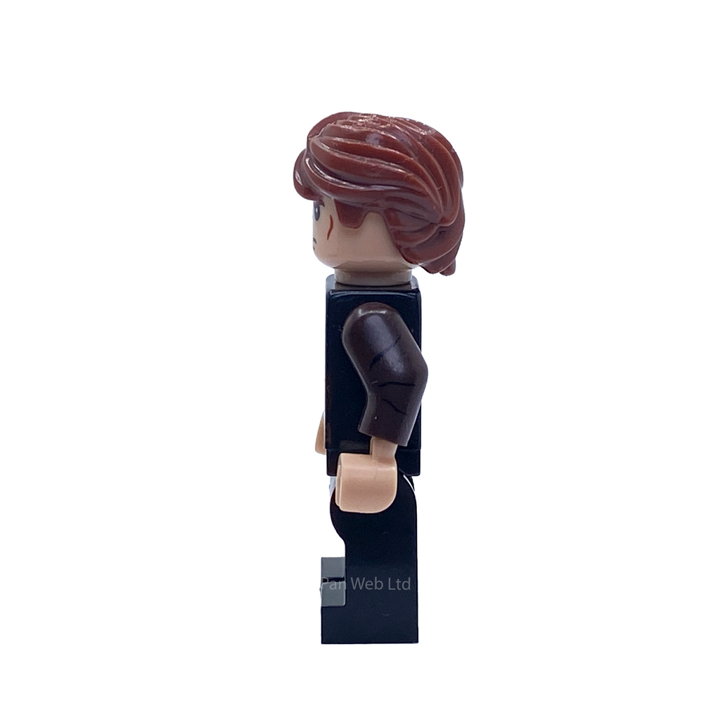 Anakin Skywalker Light & Dark Custom Brick Figure