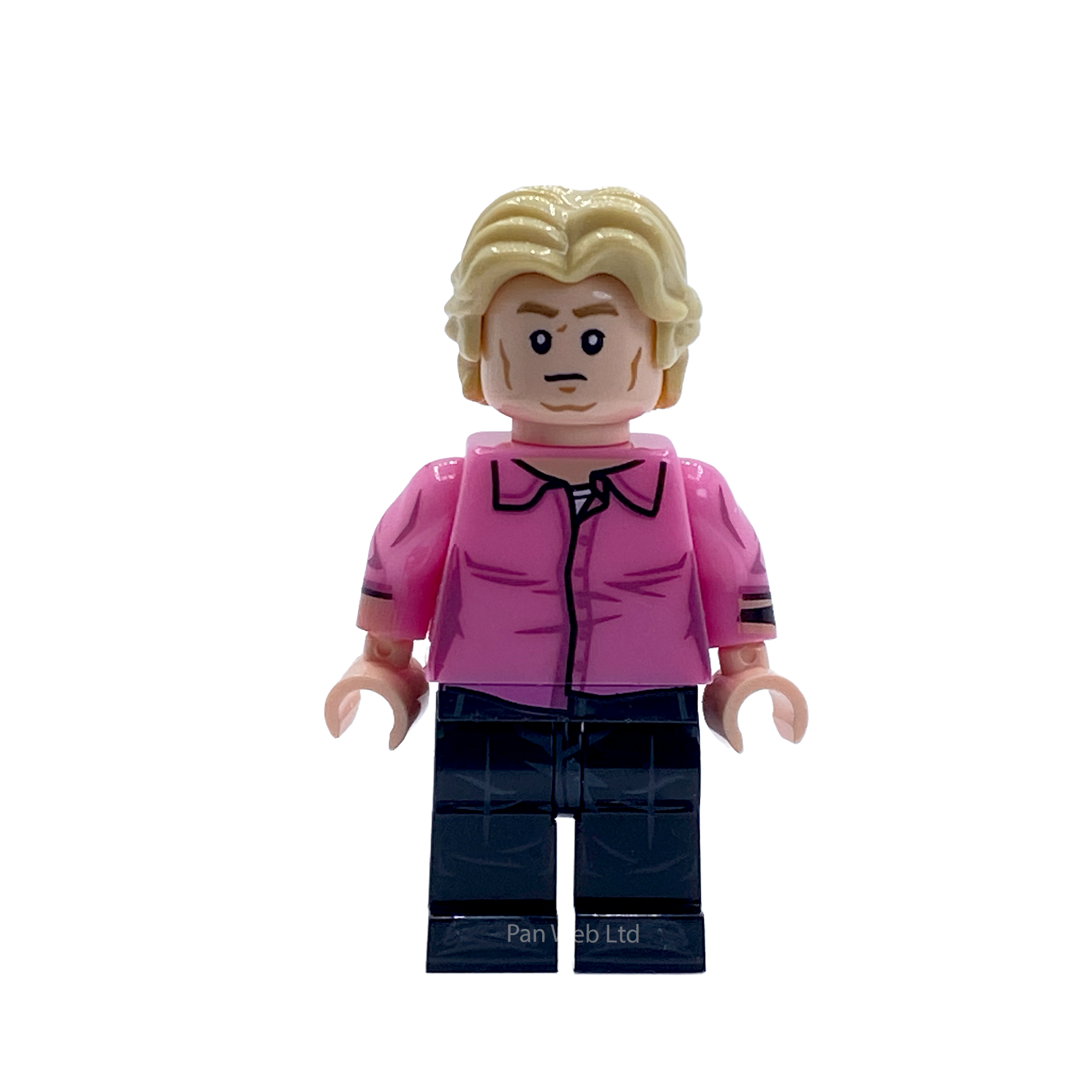 He-Man Earth Adam Custom Brick Figure