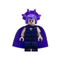 Evil Lyn Masters of the Universe Custom Brick Figure