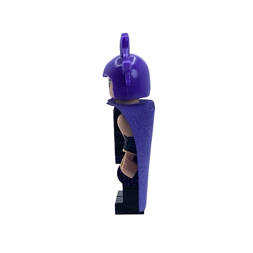 Evil Lyn Masters of the Universe Custom Brick Figure