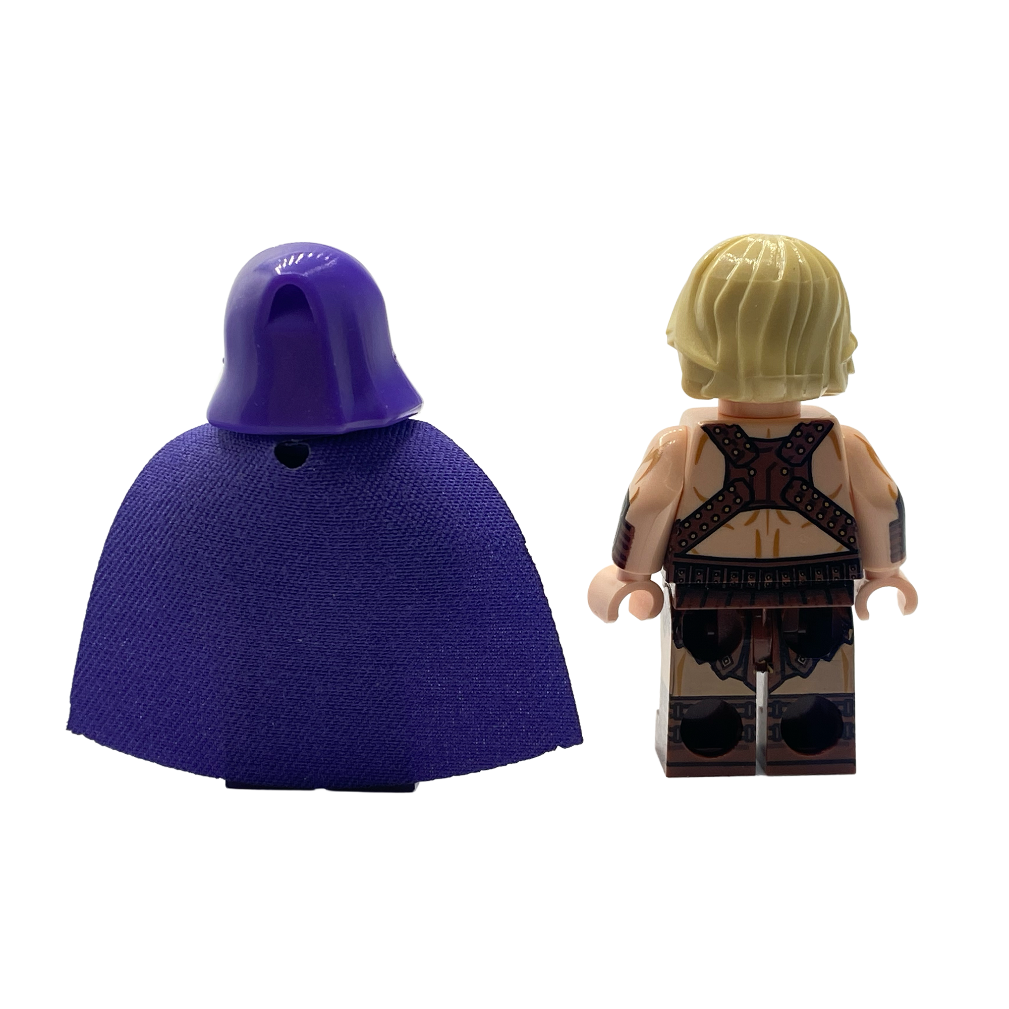He-Man & Skeletor Classic 80's TV Custom Brick Figures